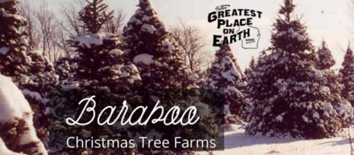 Baraboo Christmas Tree Farm